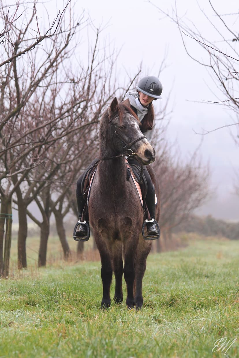PhotographeEquin_004_IMG_1869~2.jpg